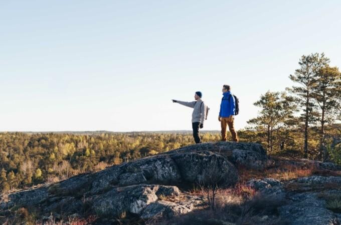 jatkuvan kehittämisen palvelu
